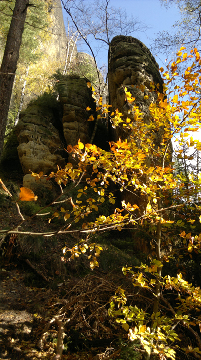 Bild Sandsteine im Herbstwald